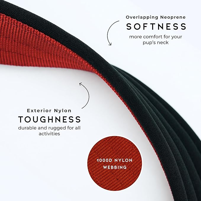MADE TO ROAM Comfort Collar - Adjustable Nylon Dog Collar with Soft Comfortable Padding, Light Aviation Aluminum Metal Buckle for Small, Medium and Large Dogs (Maine Marina, Size 3)