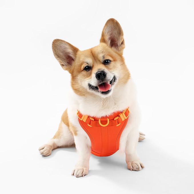 HNS1002A Arlo Medium Adjustable Soft Padded No Pull Pet Harness with 3 Buckles and 3 Leash Clips, Aperol