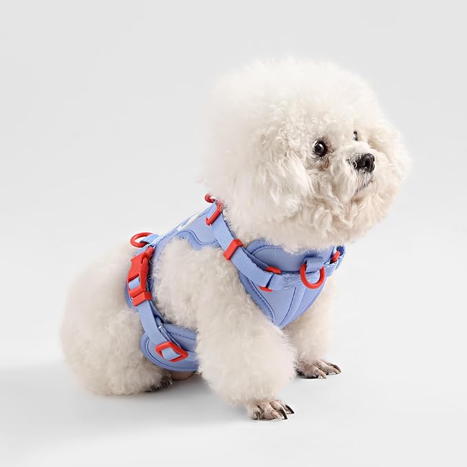 HNS1001E Arlo Small Adjustable Soft Padded No Pull Pet Harness with 3 Buckles and 3 Leash Clips, Sangria