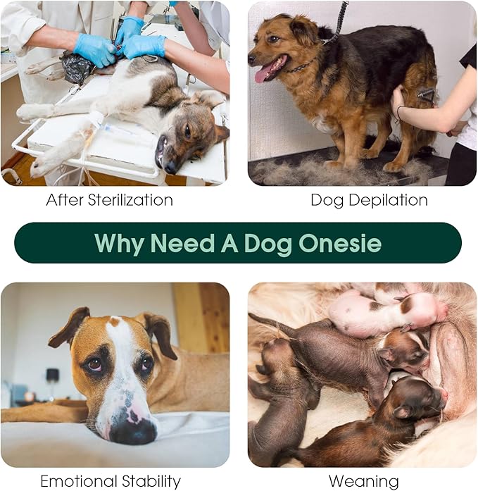 Kuoser Dog Recovery Suit for Male Dogs, Post-Surgery Bodysuit for Spay Neuter, Dog Onesie After Surgery, Anti-Licking Pet Surgical Recovery Suit, Gray XL