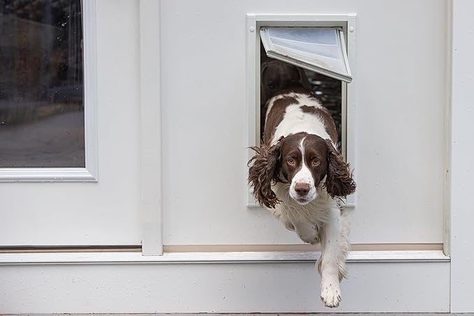 Endura Flap Pet Door for Walls in White | Energy-Efficient Double Flap Design for Wall Installations | All-Weather Protection with All-Metal Telescoping Tunnel | White, XXL, Single Flap