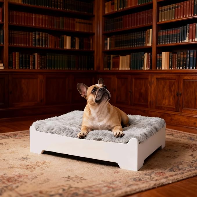 Elevated Dog Bed,27×21 Inch Small Raised Dog Couch with Cover, White S Supports up to 40lbs