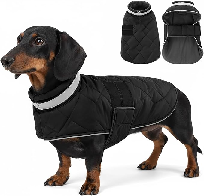 Dog Winter Coat Warm Padded Puppy Jacket Windproof Water Resistant Clothes for Small Medium Large Pets Christmas Sweater Outfit Vest(Black, XS)