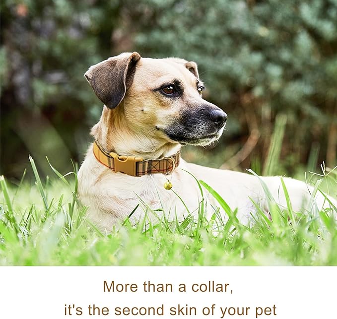 Cute Plaid Dog Collar Harness and Leash with Safety Buckle - Adjustable and No Pull Comfortable Dog Collars for Small Puppy, Stylish Durable Gift for Boy Girl Pets