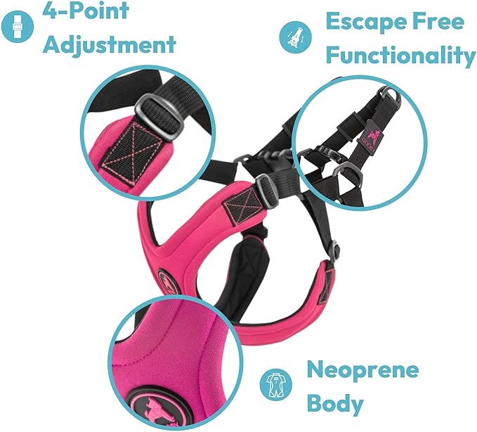 Gooby Escape Free Sport Harness - Turquoise, Small - No Choke Step-in Patented Neoprene Dog Harness with Four-Point Adjustment for Small to Medium Dogs