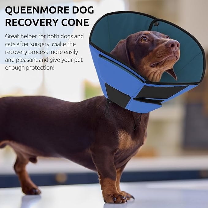 Queenmore Dog Cone XL, Soft Dog Cones for Large Dogs After Surgery, Cone for Dogs to Stop Licking, Elizabethan Collar for Pet, Alternative to Recovery Collar for Large Breeds, Blue XL