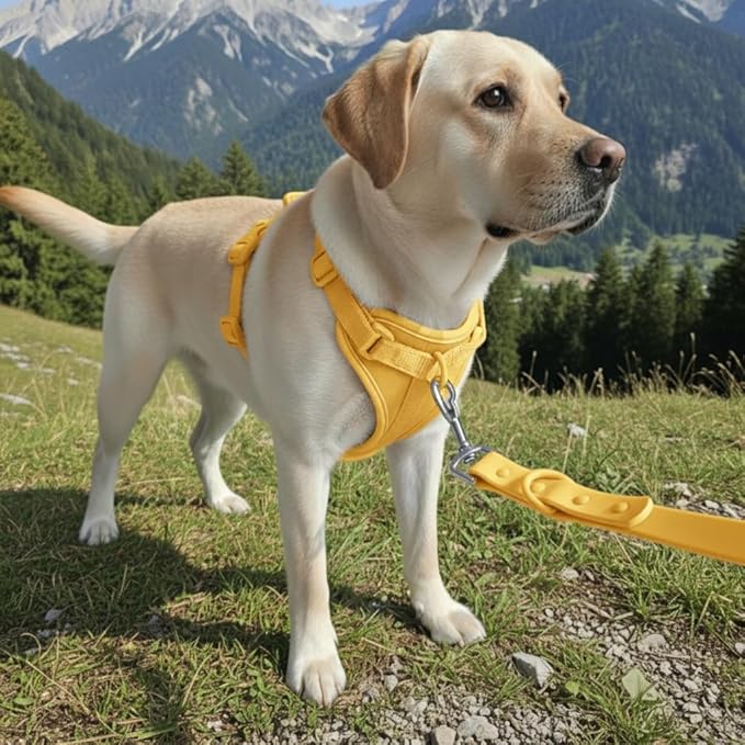 Dog Harness, No-Pull Pet Harness with 3 Leash Clips, Adjustable Soft Padded Dog Vest, Breathable Mesh Cushion for Small Medium Large Dogs (Yellow, Medium (Neck:15"-19" Chest 22"-30"))