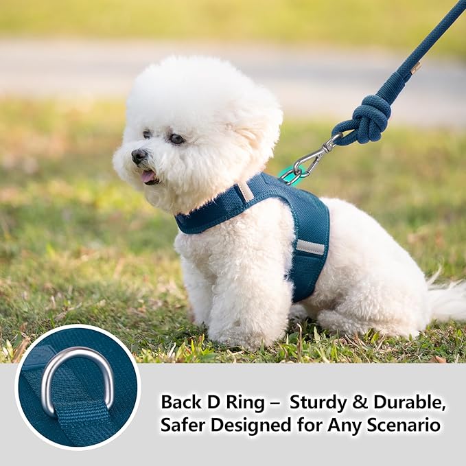Dog Harness for Puppy – Adjustable Reflective Easy Put On Soft Mesh Vest for Small Dogs with 2 Patches (Prussian Blue,L)