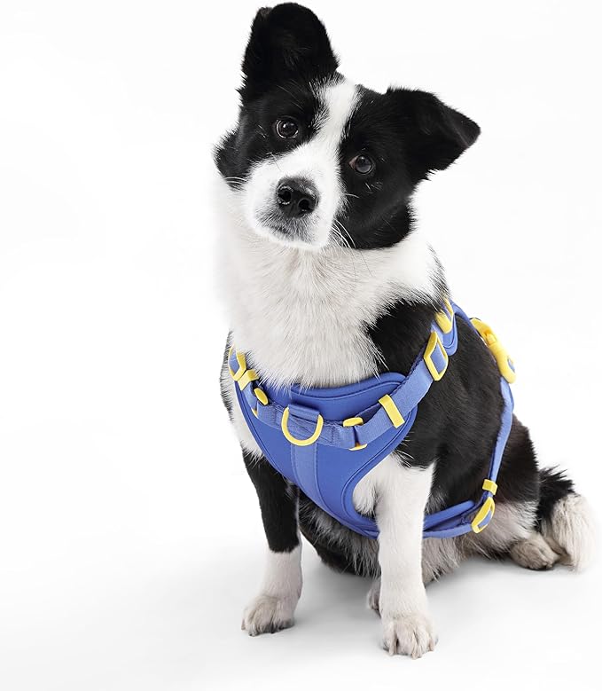 HNS1003C Arlo Large Adjustable Soft Padded No Pull Pet Harness with 3 Buckles and 3 Leash Clips, Curaçao
