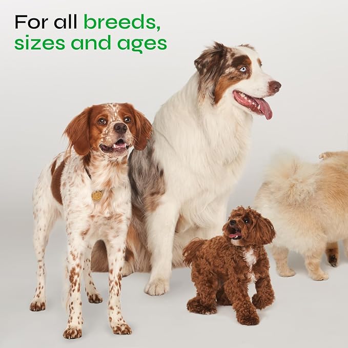 Dog Urine Neutralizer for Lawn - Grass Burn Spot Chews for Dogs - Dog Pee Grass Spot Saver - Green Lawn Treats with Enzymes - Digestive and Gut Health Support Chews - Canine UTI Support Supplement