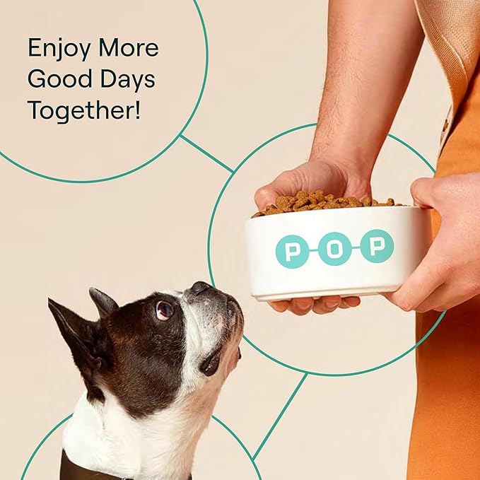 Dog Food Supplement – Multivitamin Powder for Dogs - Bone Broth Base with 6 Human-Grade Superfoods - Supports Joints, Gut, Skin & Coat - Ideal for Picky Eaters, Under 35 lbs - 30 Packets
