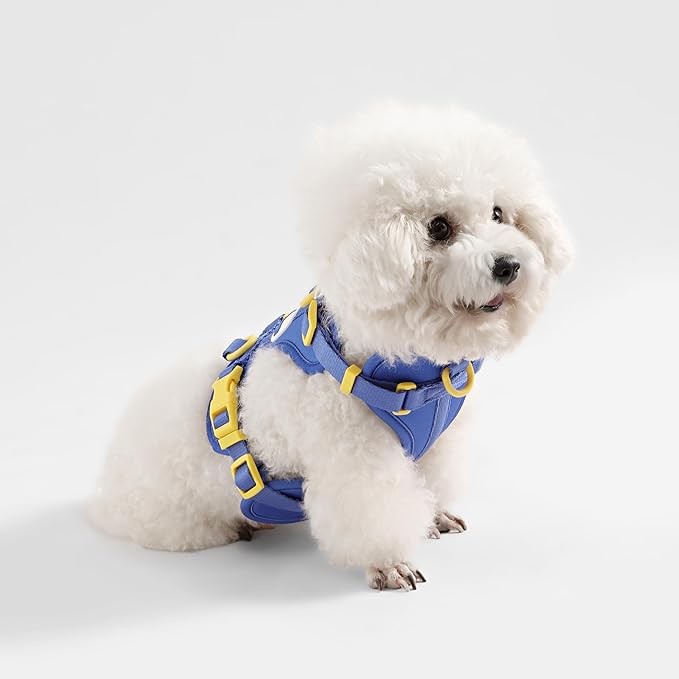 HNS1001C Arlo Small Adjustable Soft Padded No Pull Pet Harness with 3 Buckles and 3 Leash Clips, Curaçao