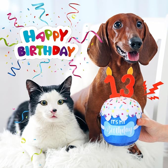 Dog Birthday Cake Toy Accessories for Girl Boy Gifts, Squeaky Plush Toy for Dog Birthday Party Decor Favor for Large, Medium and Small Dogs(13th,Blue)