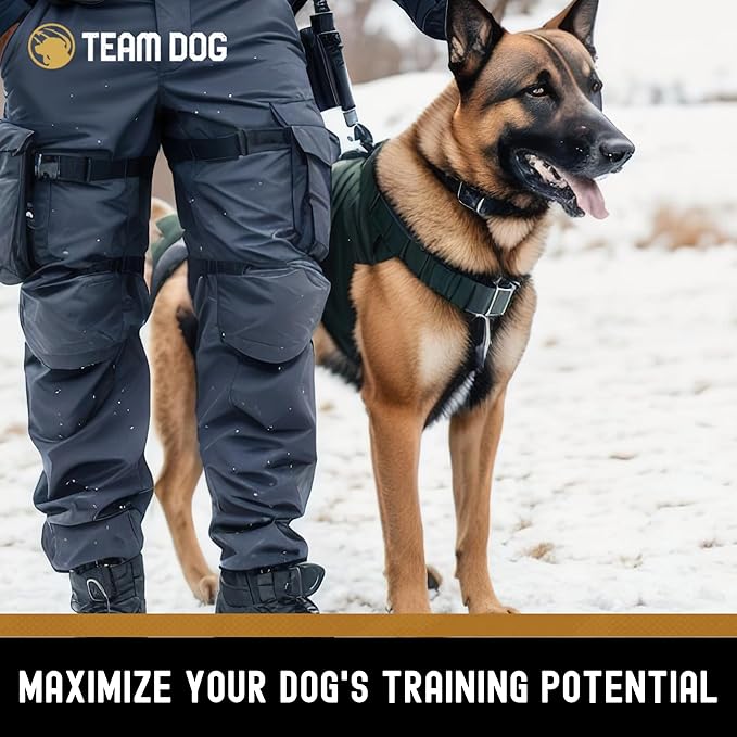 Team Dog Freeze Dried Turkey Dog Treats for Training | Healthy Gluten Free, Grain Free Dog Treats | No Added Fillers, Flavoring or by-Products | for All Breeds & Sizes | 5.2 Oz Turkey Bites