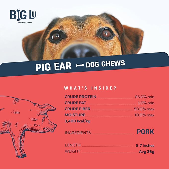 Big Lu – Whole Pig Ears for Dogs, 6 Count, All-Natural Single-Ingredient Pork Treats for Medium and Large Dogs, Easily Digestible, Supports Joint Health with Glucosamine and Chondroitin