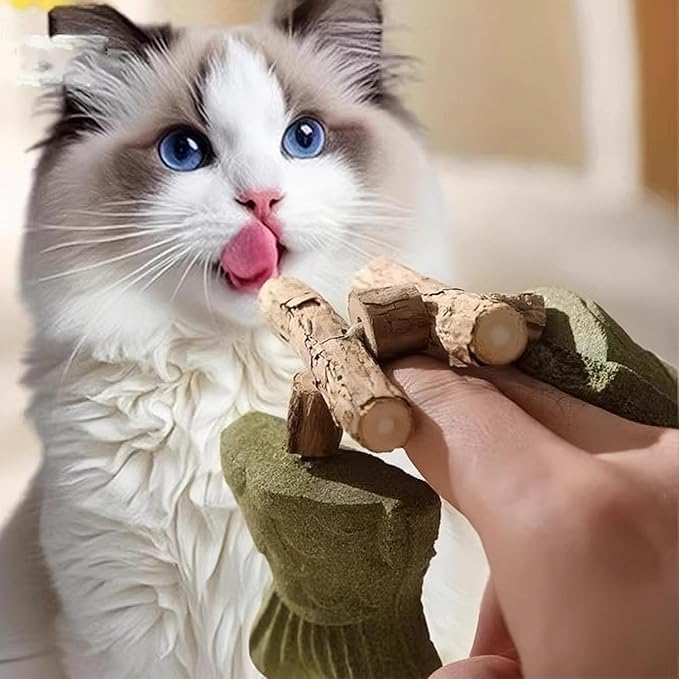 3PCS Creative Fish Bone Cat Toy, Fix Cat Dental Health, Natural Dental Chew Toy for Cats, Fishbone Shape Cat Teething, CatChew with Catnip, Durable Feline Tooth Care Tool
