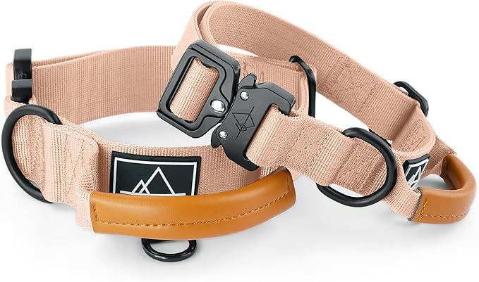 ROAM Made to ROAM Premium Explorer Control Collar - Adjustable Heavy Duty Nylon Dog Collar with Quick-Release Metal Buckle and Leather Handle (Carolina Blooms, Size 2, Control)