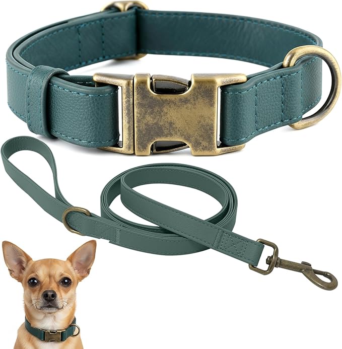 Silicone Dog Collar and Leash Set, Waterproof & Odor-Proof Puppy Collar for Small Dogs, Soft Flexible Leather-Look Dog Collars, Durable Thick Adjustable Pet Collar (Green, Small (9-14" Neck))