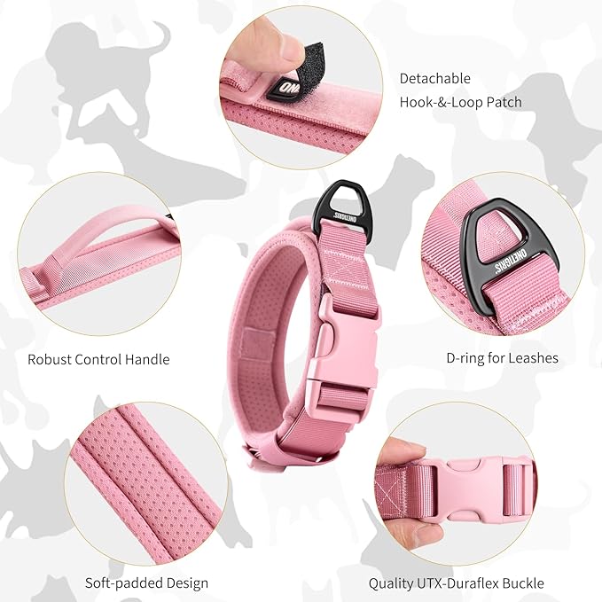 OneTigris Small Dog Collar with Handle, Soft and Adjustable Nylon Collar with Quick-Release Buckle, Lightweight No-Choke Design for Small Dogs(Pink, XS)