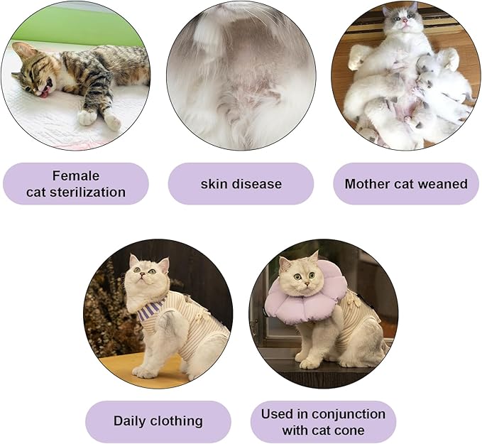 H HIDREAM Cat Clothes for Cats Only Female, Onesie for Women Spaying, Weaning, Skin Disease, Adjustable Cat Surgical Recovery Suit Gown Purple M
