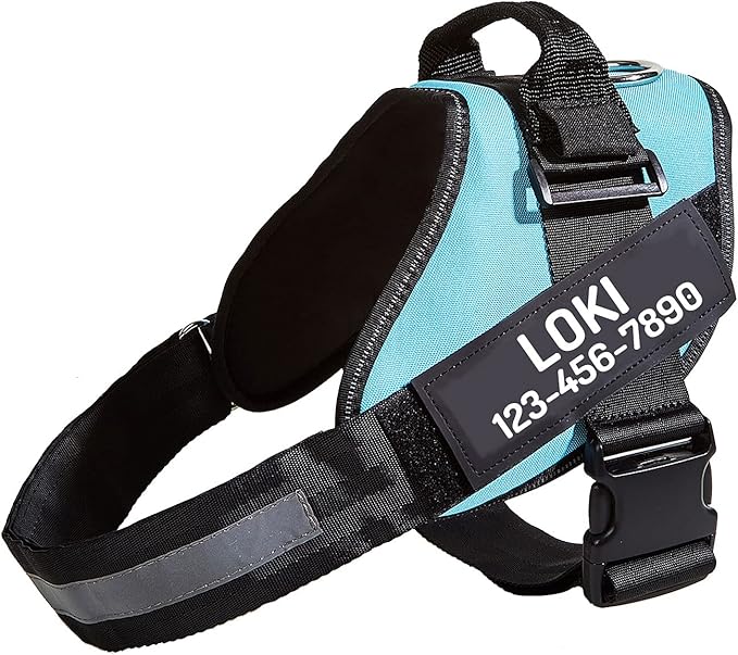 PawPawify Custom No Pull Dog Harness with Name and Phone Number, Heavy Duty Personalized Pet Vest to Prevent Tugging, Pulling, or Choking, Training and Walking (Sky Blue, S (Chest 16-21in))