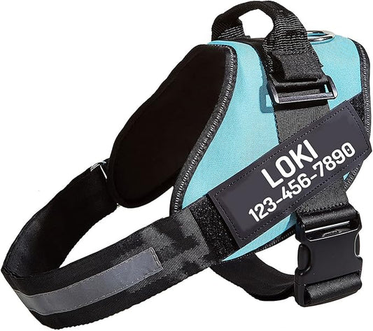 PawPawify Custom No Pull Dog Harness with Name and Phone Number, Heavy Duty Personalized Pet Vest to Prevent Tugging, Pulling, or Choking, Training and Walking (Sky Blue, S (Chest 16-21in))