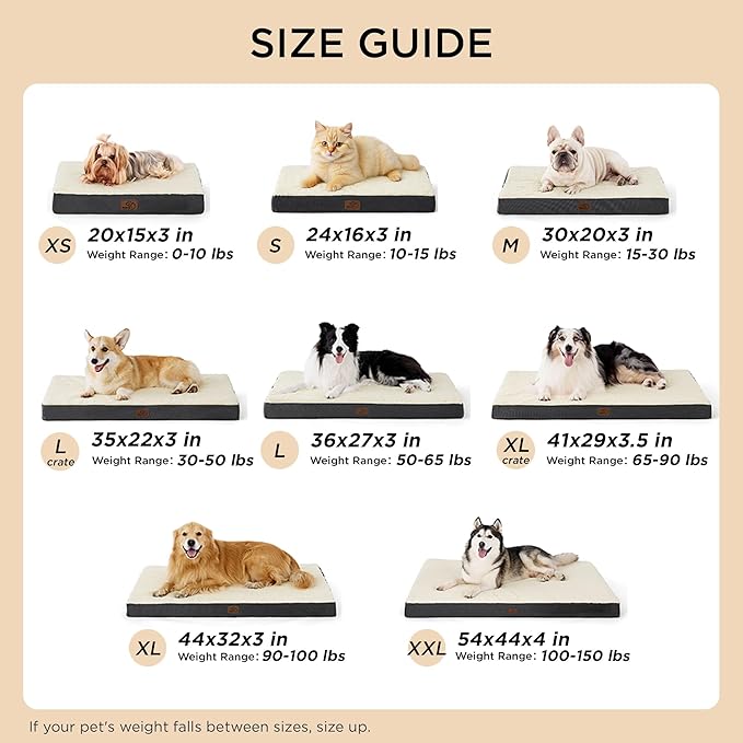 Bedsure Dog Bed Medium Size Dog - Comfy Flat Puppy Beds with Removable Washable Cover, Orthopedic Egg Crate Foam Pet Mat, Suitable for Pet Up to 30 lbs