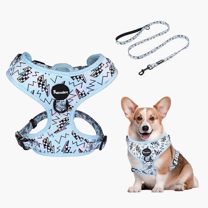 Petmolico Dog Harness and Leash Set Soft Mesh Small Dog Harnesses Vest No Pull Dog Vest Puppy Harness and Leash Set Training(Blue, Medium)