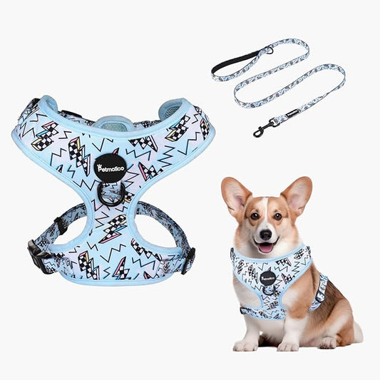 Petmolico Dog Harness and Leash Set Soft Mesh Small Dog Harnesses Vest No Pull Dog Vest Puppy Harness and Leash Set Training(Blue, Medium)