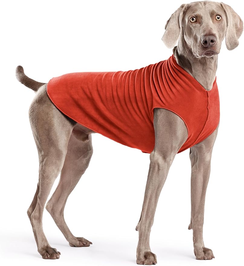 Goldpaw Stretchy Fleece Jacket for Small Dogs - Super Soft, Warm Dog Sweater - Pet Sweater Vest for Fall and Winter - Canine Clothes Made in The USA - Machine Washable - Paprika - Size 22