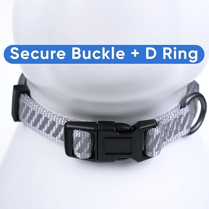 Pawtitas Reflective Dog Collar - Personalized Name & Phone Number, Adjustable for Extra Small Dogs & Puppies - Grey