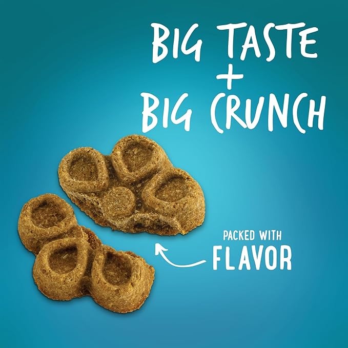 Fruitables Biggies Dog Biscuits, Pumpkin Treats for Dogs, Healthy Doggie Biscuits, Crunchy Treats, No Wheat, Corn or Soy, Made in The USA, Almond Butter and Coconut Flavor, 16oz