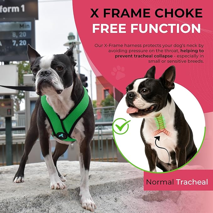 Gooby Comfort X Head in Harness - Hunter Green, Small - No Pull Dog Harness with Patented Choke-Free X Frame for Small to Medium Dogs Indoor/Outdoor Use
