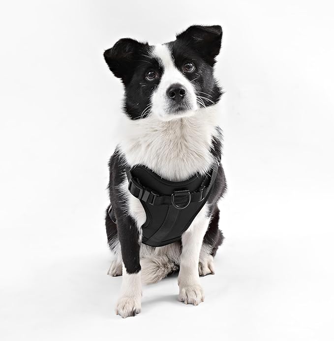 HNS1003I Arlo Large Adjustable Soft Padded No Pull Pet Harness with 3 Buckles and 3 Leash Clips, Bitters