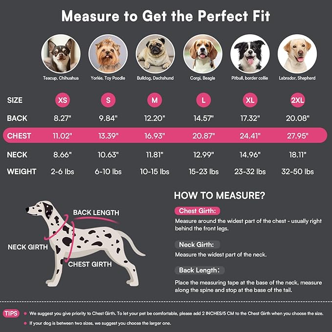 Queenmore Dog Sweater, Soft Fleece Vest Dog Jacket with Elastic Stretchable, Warm Turtleneck Pullover Design for Boy Girl Pet, Dachshund,Doggie, Cat, Kitten Chihuahua Bulldog Pug Beagles (Pink, XS)