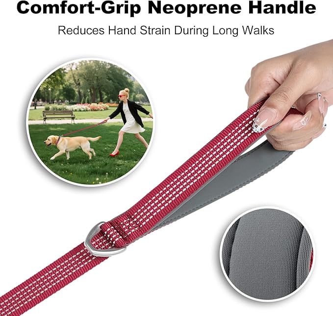 Plutus Pet Heavy Duty Dog Leash with Lockable Aluminum Carabiner, 4/6 Feet Long, Double-Sided Reflective Nylon, Padded Handle, for Puppy, Small, Medium and Large Dogs (Burgundy Red, 4/5" x 6')