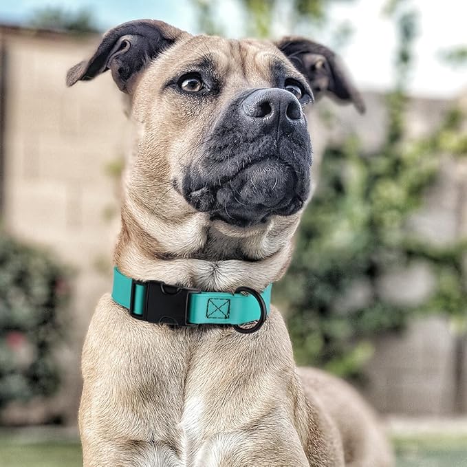 Dogline Durable Biothane Waterproof Collar for Dogs - Odor-Resistant Coated Webbing, Quick-Release Design, Comfortable Adjustable Fit, 1" W by 15-25" L, Sky Blue