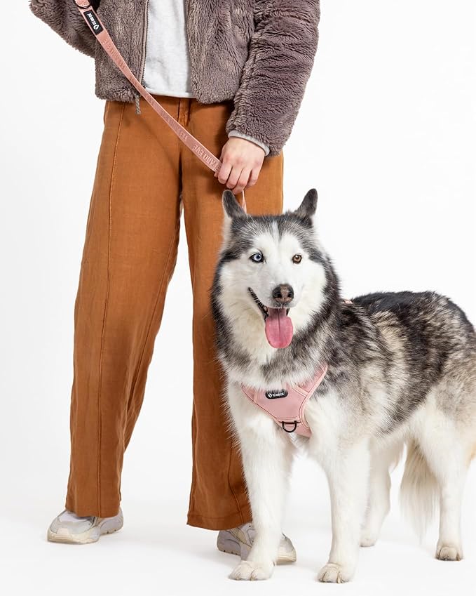 2025 New Edition, Fei & Eve Classic Dog Leash - 4FT, Dual Padded Handles, 360° Swivel Hook, Heavy Duty 210D Nylon - No-Pull Design with Traffic Control Handle - for Small/Medium/Large Dogs, Blush
