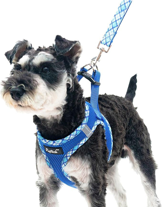 PUPTECK Dog Harness and Leash Set for Small Medium Dogs No Pull Step-in Soft Mesh Puppy Cat Vest Harnesses Reflective at Night, Blue L