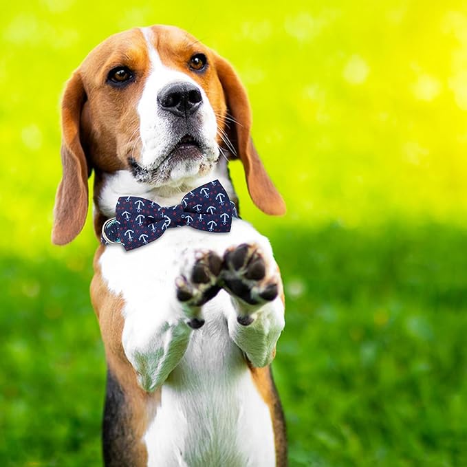 azuza Anchor Dog Collar with Bow Tie, Soft and Comfortable Adjustable Bowtie for Small Dogs