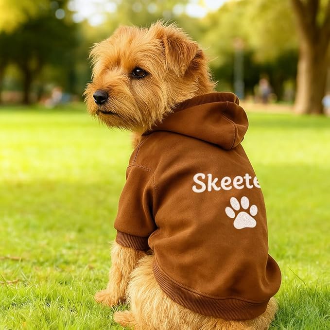 Personalized Name Dog Hoodie, Embroidered Hoodies Pet Name, Custom Puppy Sweater Warm Winter Outfit for Dogs, Bright Puppy Sweatshirt, Unique Pet Birthday Outfit, Gift for Dog Lovers