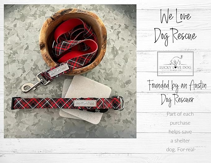 Lucky Love Dog Martingale Dog Collar & Leash - Adjustable, No-Slip, Durable, Comfortable, Soft Webbing, & Stylish Patterned Collar & Leash Set for Male and Female Dogs - Heywood Combo, Large