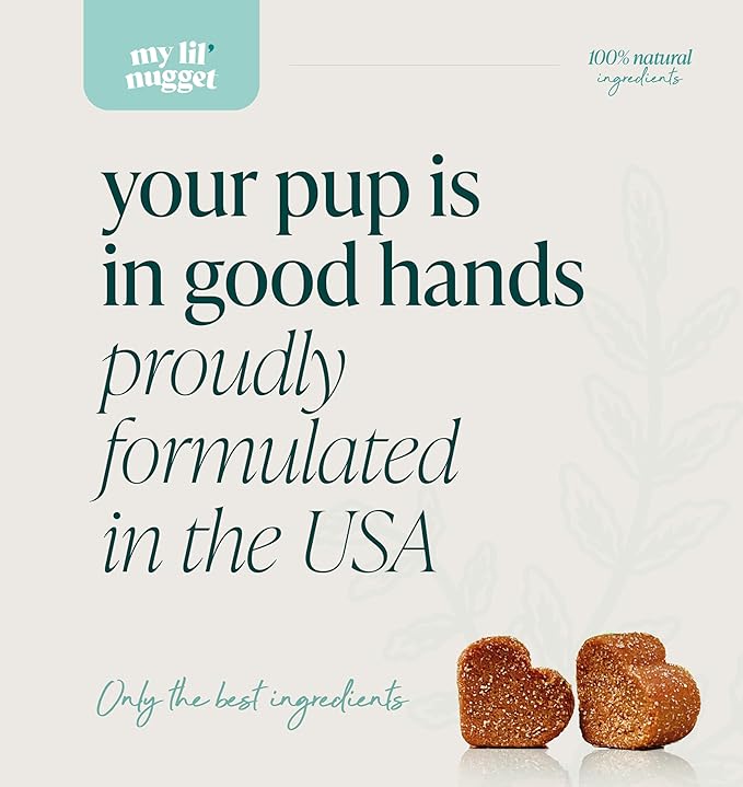 My Lil’ Nugget - Vet-Approved Cognition Chews for Dogs | All-Natural Dog Brain Support & Improve Memory | Lion’s Mane & Ashwagandha | All-Ages – Aging Senior Dog to Puppy | 90 Salmon Flavor Soft Chews