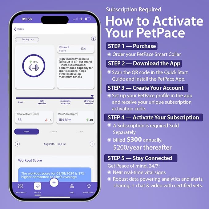 NEW Dog Health Monitor V3.0 by PetPace – AI Smart Collar with 24/7 Vital Signs, Pain & GPS Tracking, Telehealth AskaVet & Share With Your Vet, Smartwatch Sync – Subscription Required (Small)
