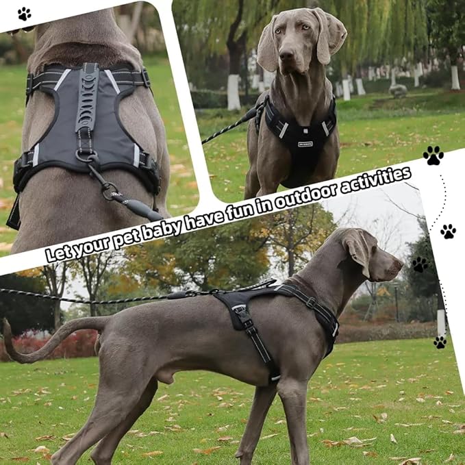 Dog Harness No Pull Adjustable Reflective,for Medium and Large Small Dog with Leash 59.06in (Black, S)