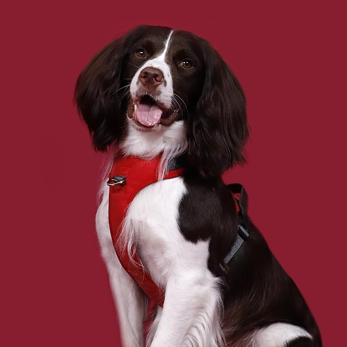 No Pull Dog Harness Medium Sized Dog,Stylish PU Leather Vest with Easy Control Handle,No Choke Front Clip with 2 Metal Leash Clips,Reflective & Adjustable for Walking,Red,Chest 22-29"