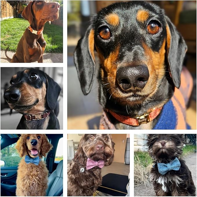Custom Engraved Dog Collar with Name and Phone Number, Personalized for Small, Medium, and Large Dogs (Tweed)