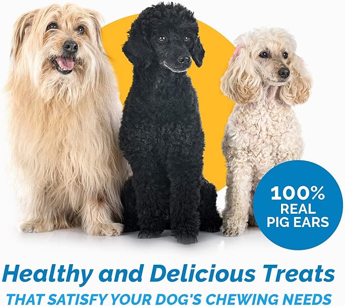 123 Treats Pig Ears for Dogs, 100% Natural Long Lasting Pork Dog Chews, Ideal for All Chewers, Delicious and Healthy Dog Treats, Half Pig Ears (One Pack of 30)