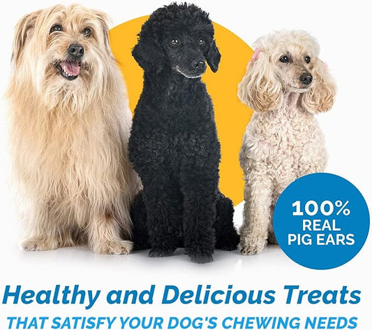 123 Treats Pig Ears for Dogs, 100% Natural Long Lasting Pork Dog Chews, Ideal for All Chewers, Delicious and Healthy Dog Treats, Half Pig Ears (One Pack of 30)