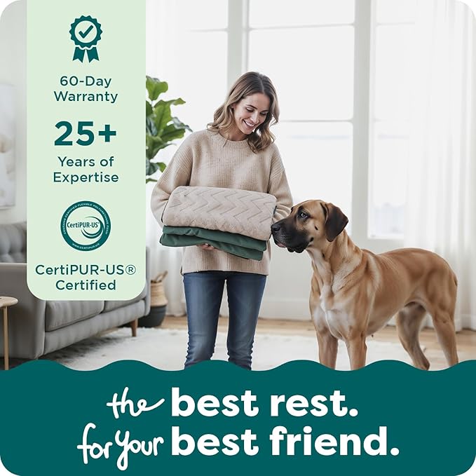 FurHaven Dog Bed Cover Replacement, Sofa-Style Design with Soft, Breathable Fabric for Cozy Comfort, Machine Washable, Jumbo/XL, Plush & Velvet Waves, Celadon Green